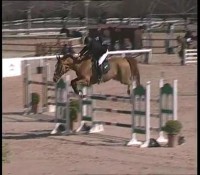 /album/galleria-fotografica/a2012-marzo-arezzo-c120-wings-sabato01-jpg/